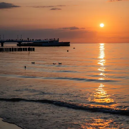 Maxymilian Unique - Adults Only 3* コウォブジェク